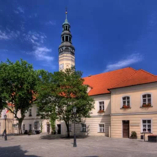 Co warto zobaczyć w Zielonej Górze? Atrakcje Zielona Góra i okolice