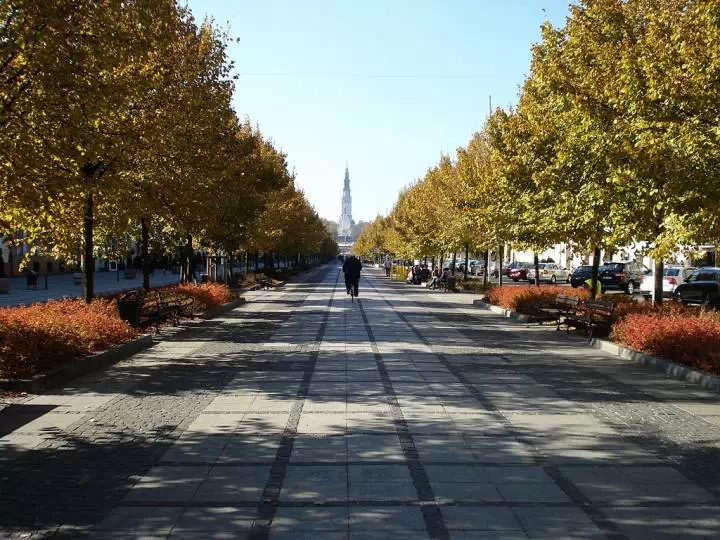 czestochowa_aleje_nmp-frees-wikWypożyczalnia samochodów Częstochowa / fot. Wikimedia Commonsimedia.webp