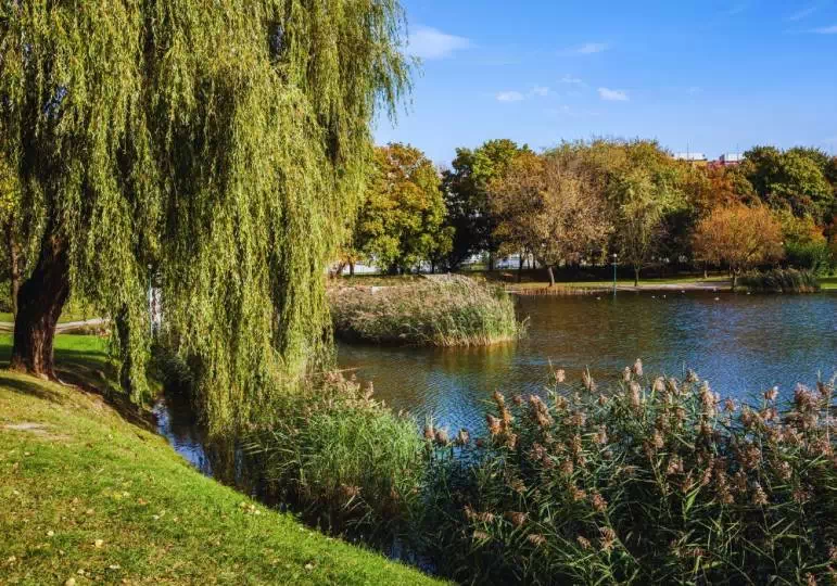 Samochód na wynajem Warszawa Ochota