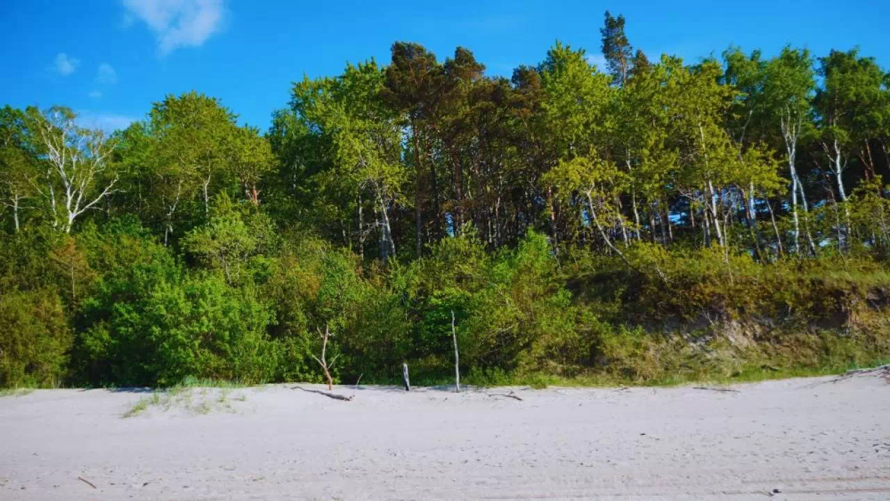 Plaża w Pobierowie