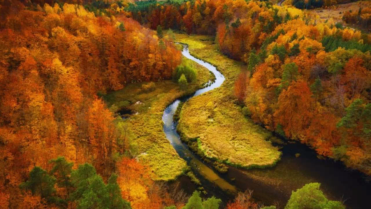 Kaszubska Szwajcaria / fot. Canva.com