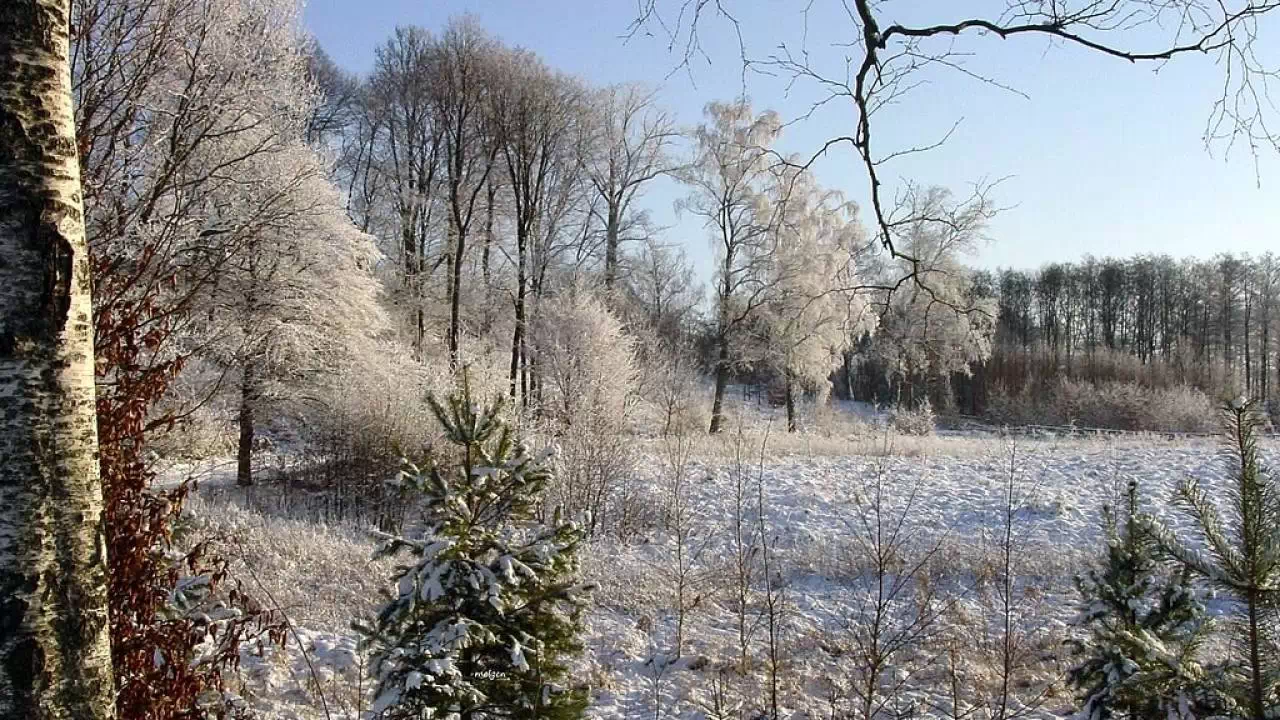 Zima na Mazurach